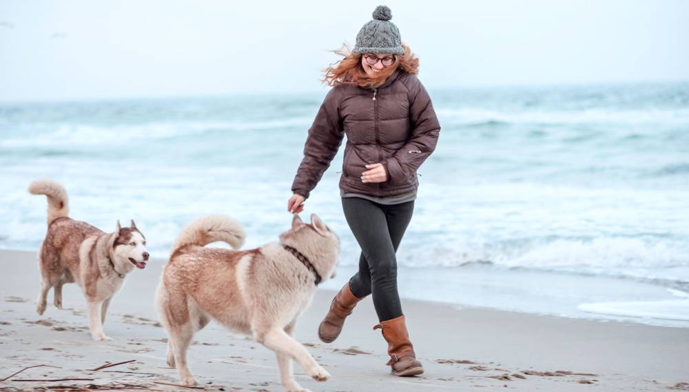 Frau läuft in ihrem Urlaub am Strand von Usedom mit ihren beiden Husky Hunden.