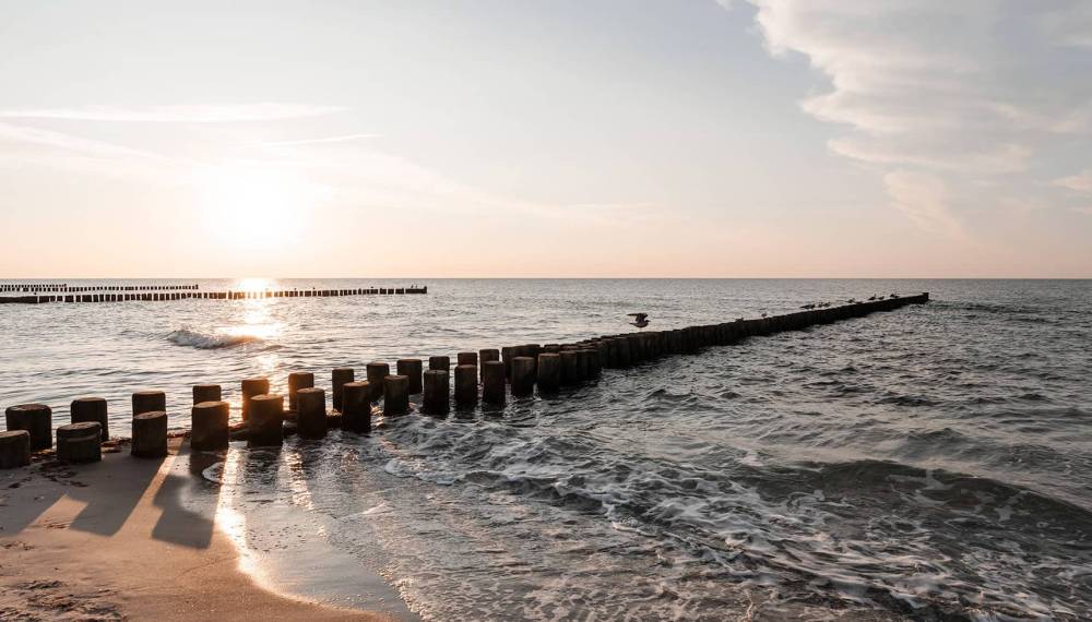Buhnenreihen im Meer werfen im Sonnenuntergang Schatten an den Strand von Ahrenshoop.