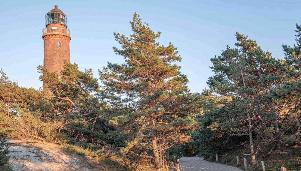 Der Leuchtturm Darßer Ort auf Fischland-Darß-Zingst umgeben von Bäumen eignet sich perfekt für Herbstfotos. © Adobe Stock, riebevonsehl