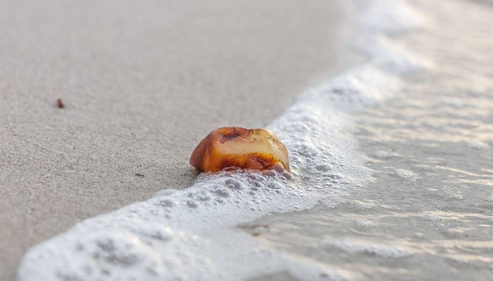 Bernsteinstück am Sandstrand von Rügen, umspült von der Ostsee, ein begehrtes Mitbringsel.