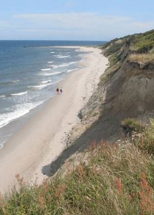 Personen gehen am Rande der Steilküste auf Rügen mit ihrem Hund entlang der Ostsee spazieren.