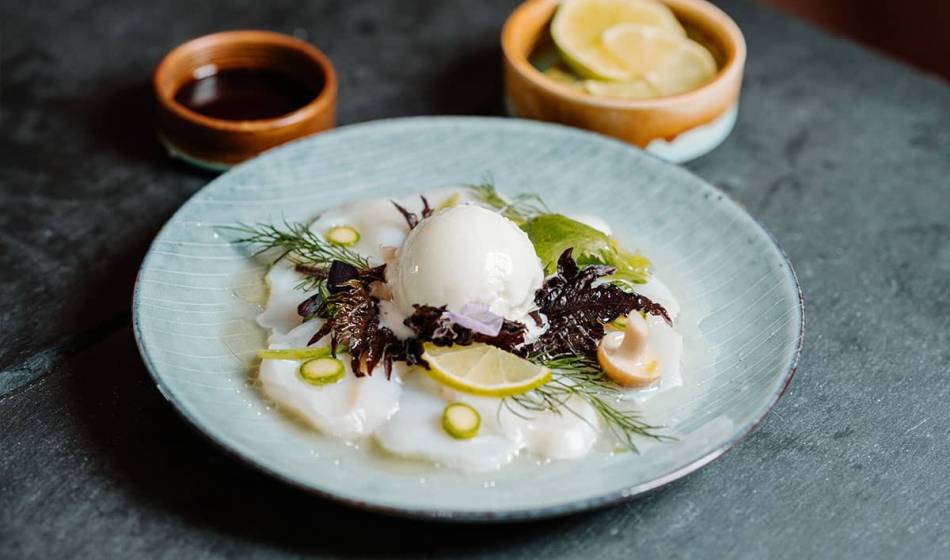 Dünne Scheiben von Meeresfrüchten, angerichtet mit frischen Kräutern, Zitrone und einer weißen Creme, auf hellblauem Teller.