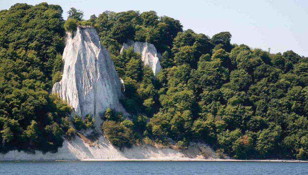 Weiße Kreidefelsen an der bewaldeten Küste von Rügen, Ursprung der Rügener Heilkreide.