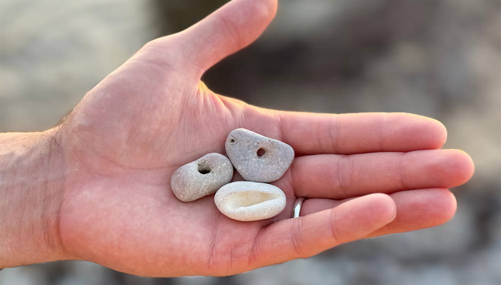 Hand hält drei Hühnergötter mit natürlichen Löchern, gefunden beim Strandspaziergang auf Rügen.