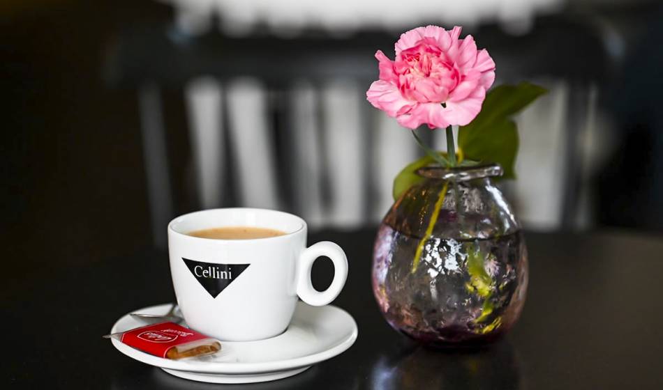 Nahaufnahme einer Cellini-Kaffeetasse mit Keks und einer rosa Blume im Glas im Künstlerquartier Seezeichen.