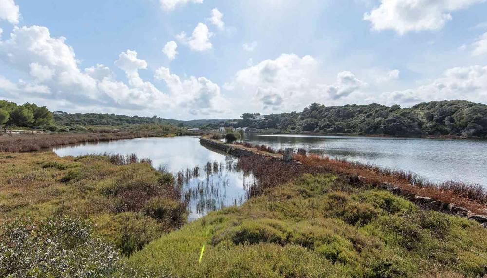 Lagune mit Schilf und Salzwiesen im Naturpark s’Albufera de Mallorca, umgeben von bewaldeten Hügeln unter einem Himmel mit weißen Wolken, Ausflugsziel für Gäste des Barefoot Hotel Mallorca